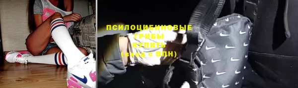 прущая мука Алзамай