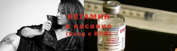 дмт Пересвет