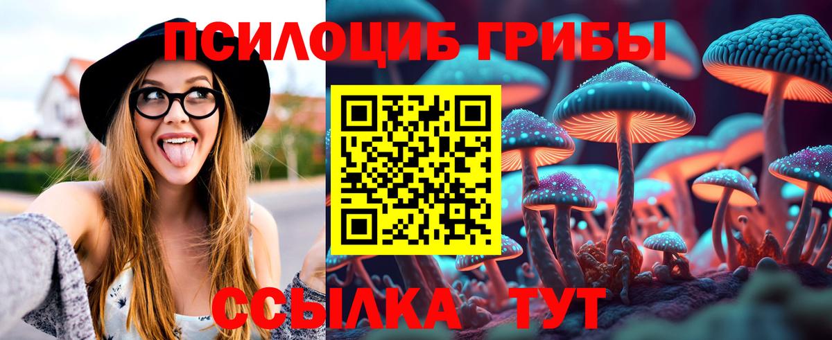 Галлюциногенные грибы мицелий  Псилоцибиновые грибы мухоморы  Темрюк  Вход с VPN 